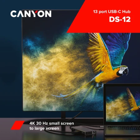 USB-хаб Canyon (CNS-TDS12)