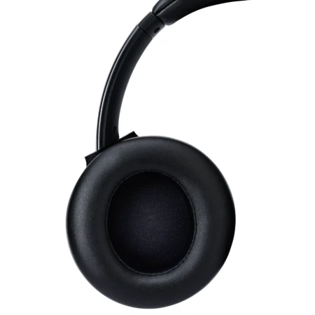 Навушники Panasonic (RB-M600BG-K)
