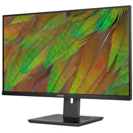 Монітор Philips (32B1N3800/00)