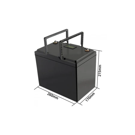 Акумуляторна батарея LiitoKala (12V 100Ah LiFePO4 LCD)