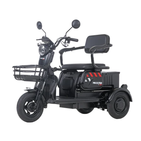 Электроскутер Maxxter (ANT (Black))