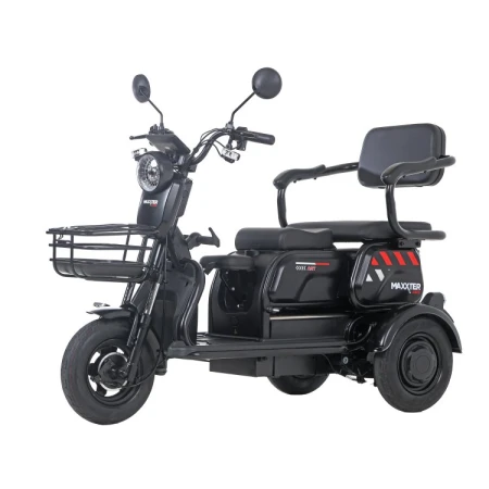 Электроскутер Maxxter (ANT (Black))