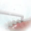 Насадка для электрической зубной щетки Sencor (SOX 107)