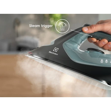 Праска Electrolux (E7SI2-6OG)