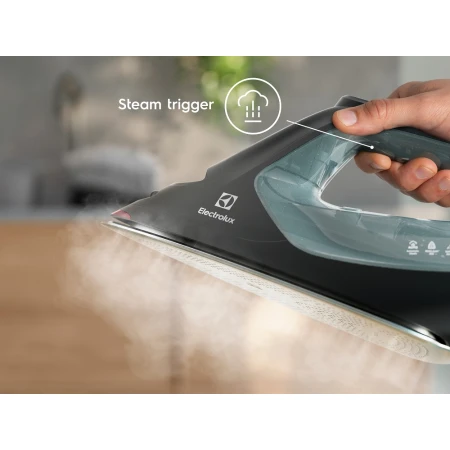 Праска Electrolux (E8SI2-6OG)