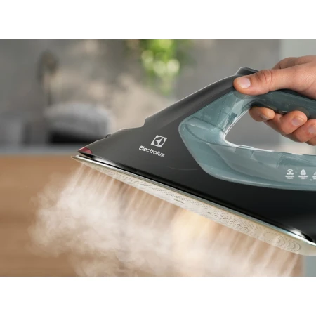 Праска Electrolux (E8SI2-6OG)