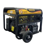 Генератор бензиновый Forte (FG10000E)