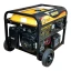 Генератор бензиновый Forte (FG8000E)