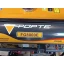 Генератор бензиновый Forte (FG8000E)