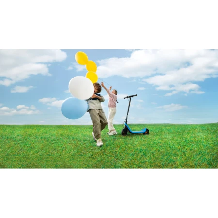 Электросамокат Segway (AA.10.05.01.0003)