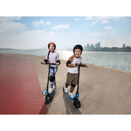 Электросамокат Segway (AA.10.05.01.0003)