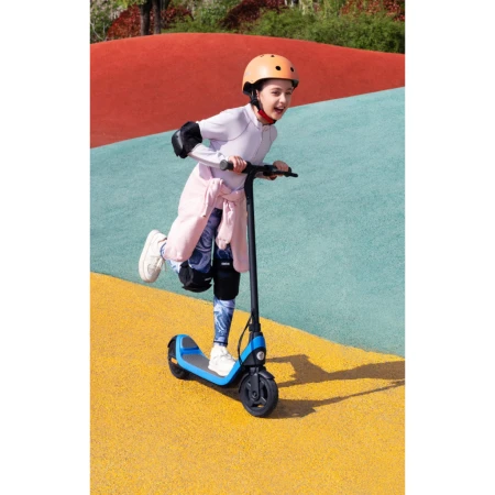 Электросамокат Segway (AA.10.05.01.0003)