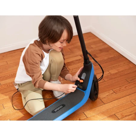 Электросамокат Segway (AA.10.05.01.0003)