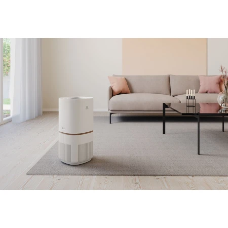 Очищувач повітря Electrolux (EPO50571SW)