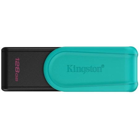 Флеш память USB Kingston (DTXS/128GB)