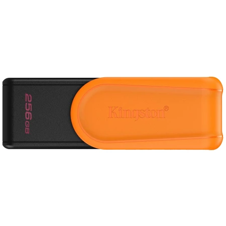 Флеш память USB Kingston (DTXS/256GB)