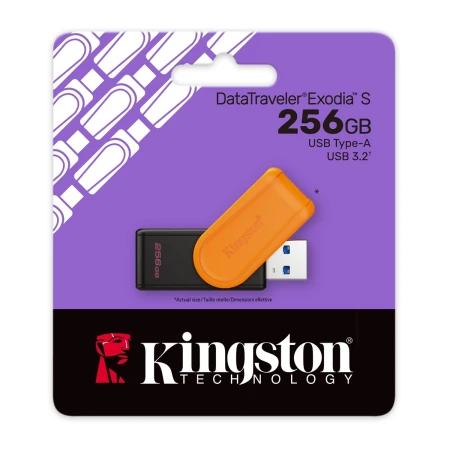Флеш память USB Kingston (DTXS/256GB)