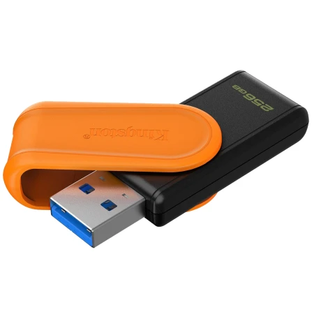 Флеш память USB Kingston (DTXS/256GB)