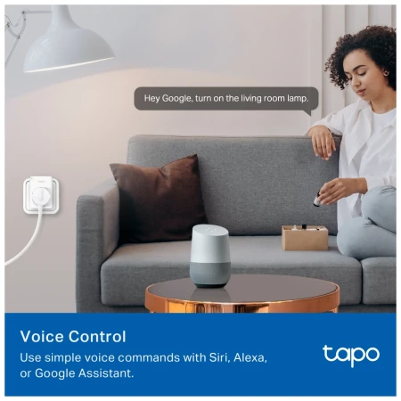 Умная розетка TP-Link (Tapo P100M)