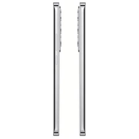 Смартфон OPPO (Reno12 5G 12/256GB Astro Silver)
