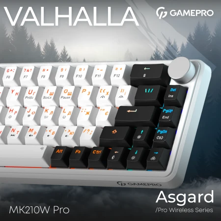 Клавиатура GamePro (MK210W Pro)