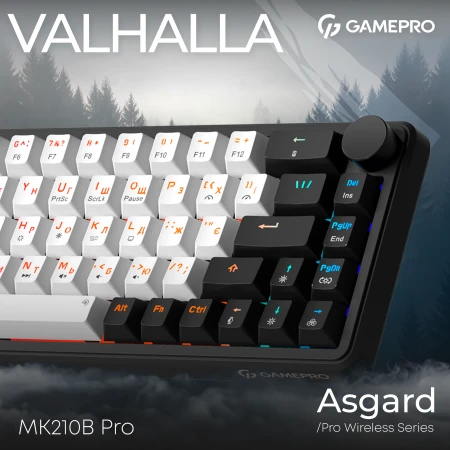 Клавиатура GamePro (MK210B Pro)