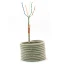 Кабель вита пара Cablexpert SF/UTP Cat 5e PVC 4 х 2 х 0,50 (SPC-5004E)