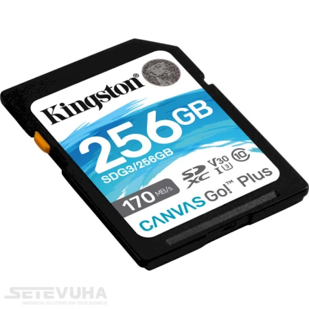 Карта памяти Kingston Canvas Go! Plus SD 256ГБ (SDG3/256GB)