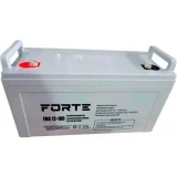 Акумуляторна батарея Forte 100 Аг GEL 12 В (FBG12-100)