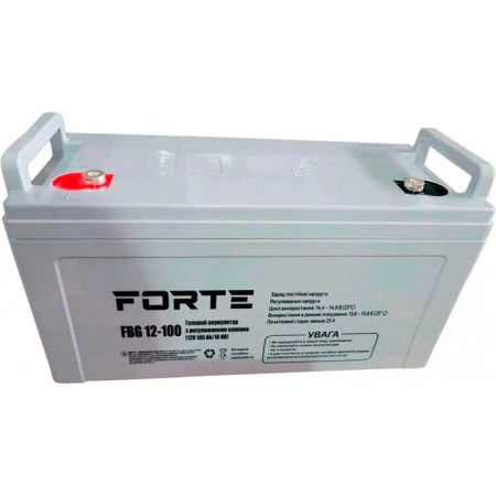 Акумуляторна батарея Forte 100 Аг GEL 12 В (FBG12-100)