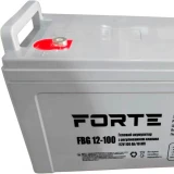 Акумуляторна батарея Forte 100 Аг GEL 12 В (FBG12-100)