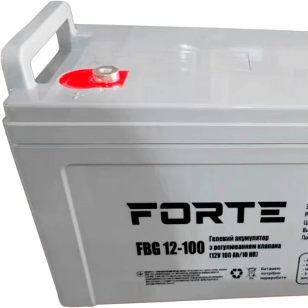 Акумуляторна батарея Forte 100 Аг GEL 12 В (FBG12-100)
