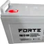 Акумуляторна батарея Forte 100 Аг GEL 12 В (FBG12-100)