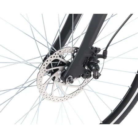 Електровелосипед Maxxter (ROAD MASTER (gray))