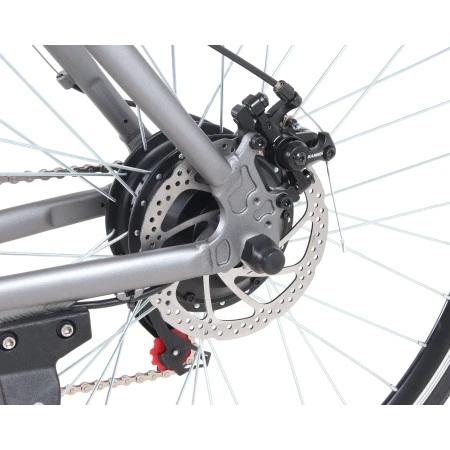 Електровелосипед Maxxter (ROAD MASTER (gray))