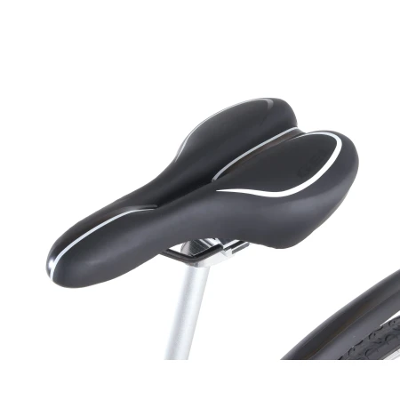 Електровелосипед Maxxter (ROAD MASTER (gray))