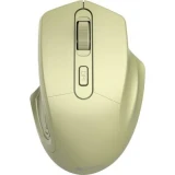 Мышь Canyon проводная (CNE-CMSW15GO)