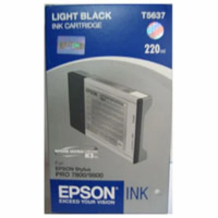 Картридж Epson Light Black (C13T603700)