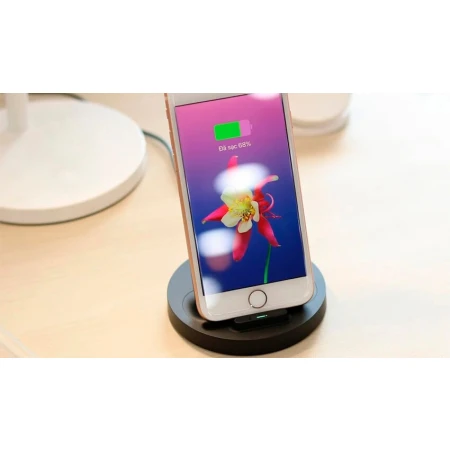 Зарядний пристрій Xiaomi (GDS4145GL)