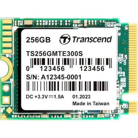 SSD диск Transcend (TS256GMTE300S)