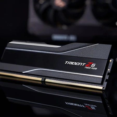 Оперативная память G.Skill (F5-6000J3636F16GX2-TZ5NR)