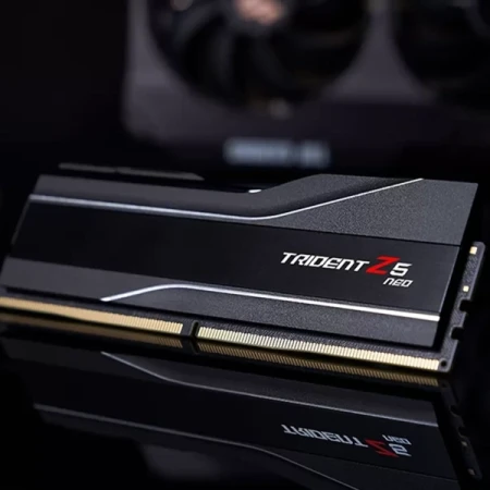 Оперативная память G.Skill (F5-6000J3238F16GX2-TZ5N)