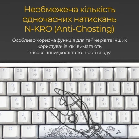 Клавиатура Ducky (DKON2167ST-RUAPXPWWWSC1)