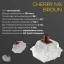 Клавиатура Ducky (DKON2108-BUAPXМAEGGC1)