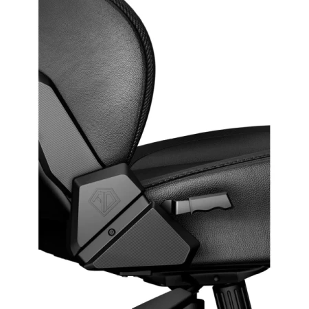 Ігрове крісло Anda Seat (AD18Y-06-B-PV/C)