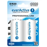 Аккумулятор everActive (2x EVHRL20-10000)