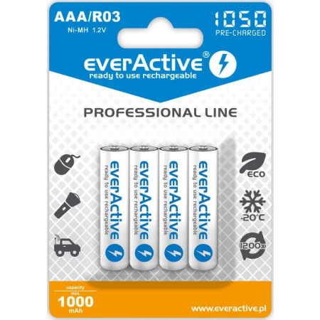Аккумулятор everActive (EVHRL03-1050)