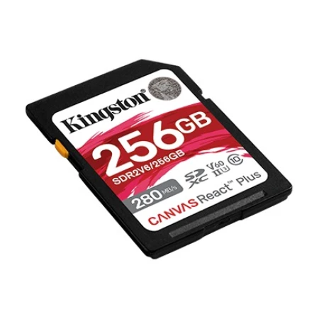 Карта пам'яті Kingston (SDR2V6/256GB)